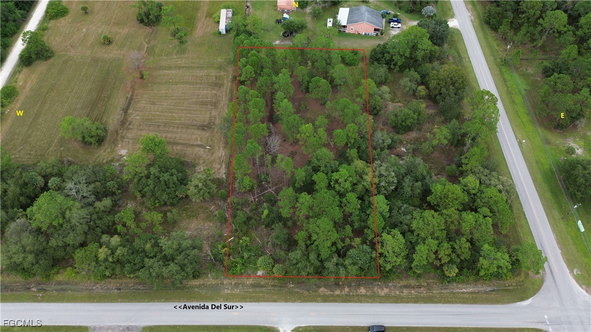 287 Avenida Del Sur Clewiston, FL 33440 - Photo 6 of 16 a view of a garden