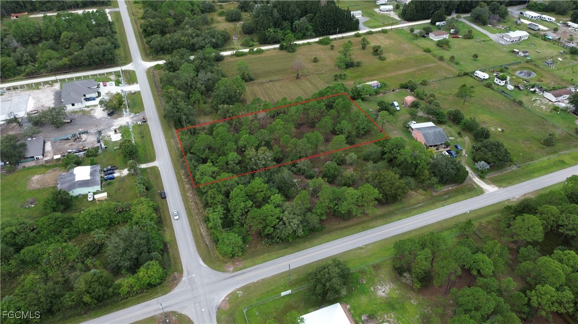 287 Avenida Del Sur Clewiston, FL 33440 - Photo 8 of 16 a view of a yard with a tree