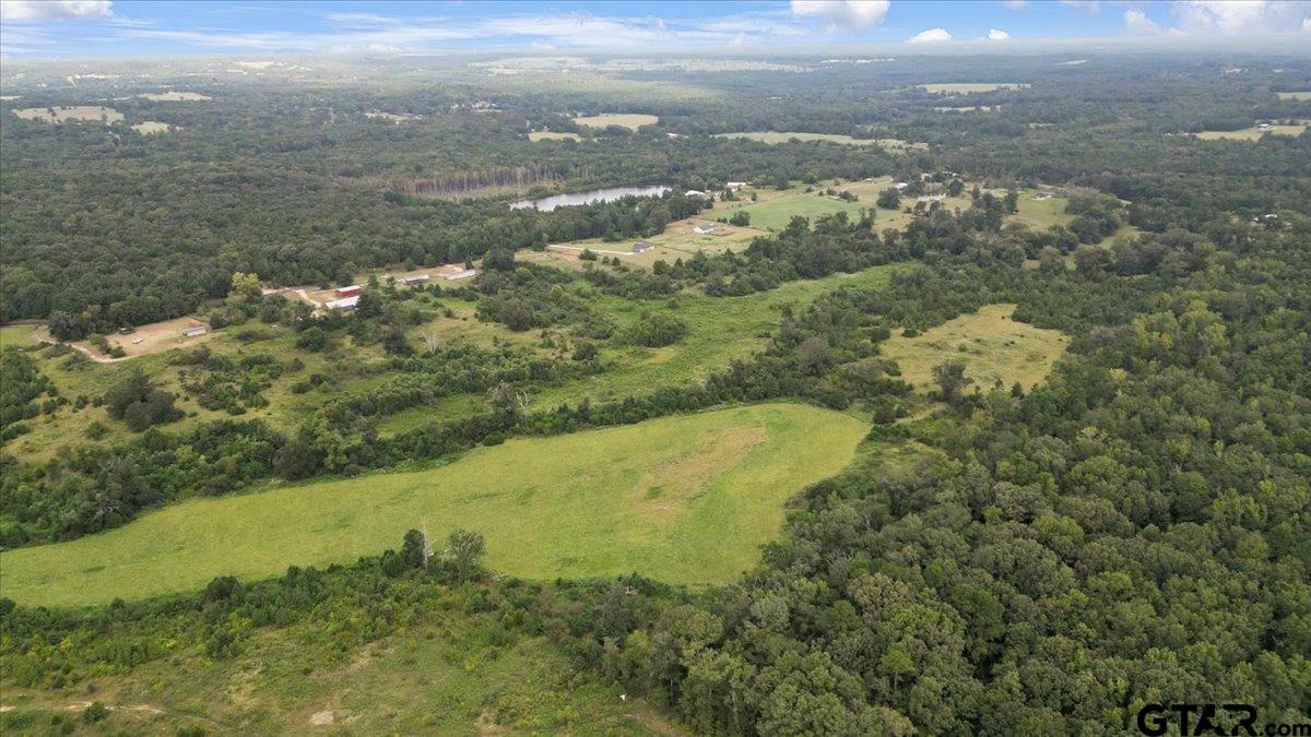 Tbd South Mimosa Road Gilmer, TX 75644 - Photo 13 of 13 a view of lake view and mountain