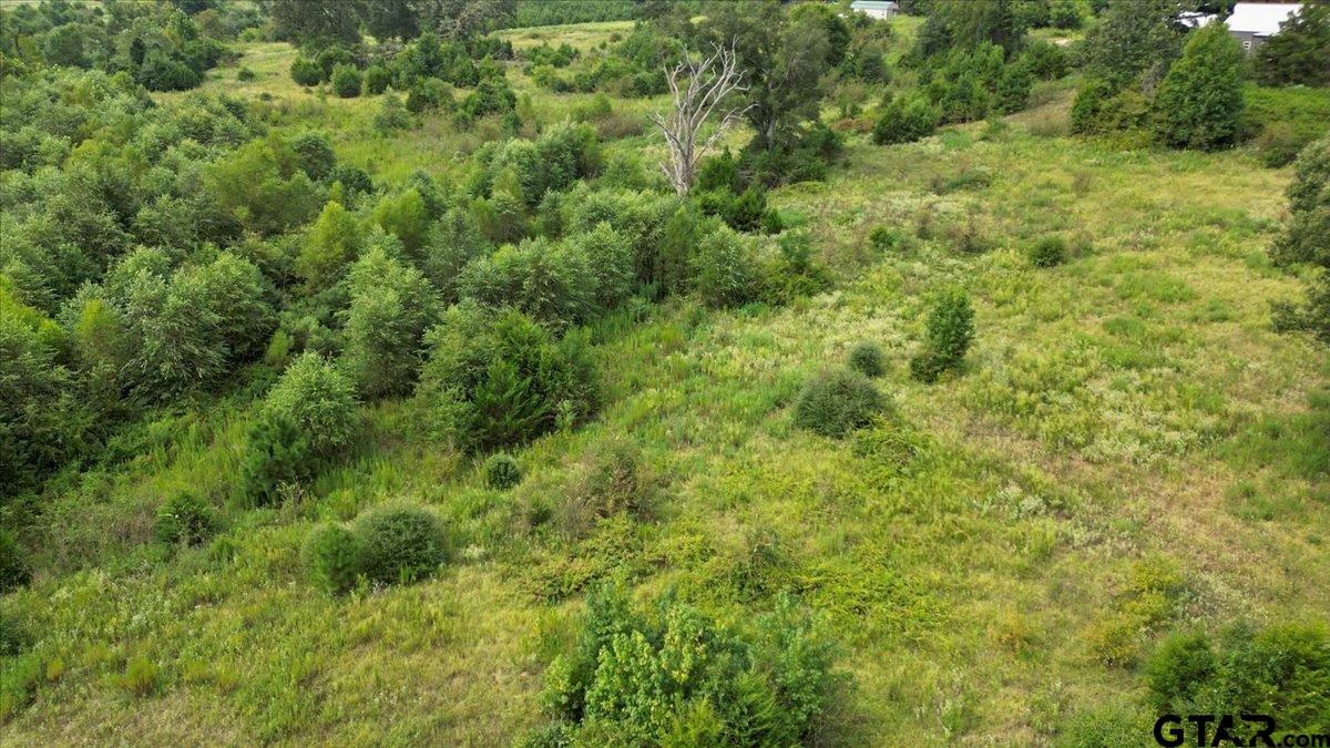 Tbd South Mimosa Road Gilmer, TX 75644 - Photo 5 of 13 a view of a big yard with plants and large tree