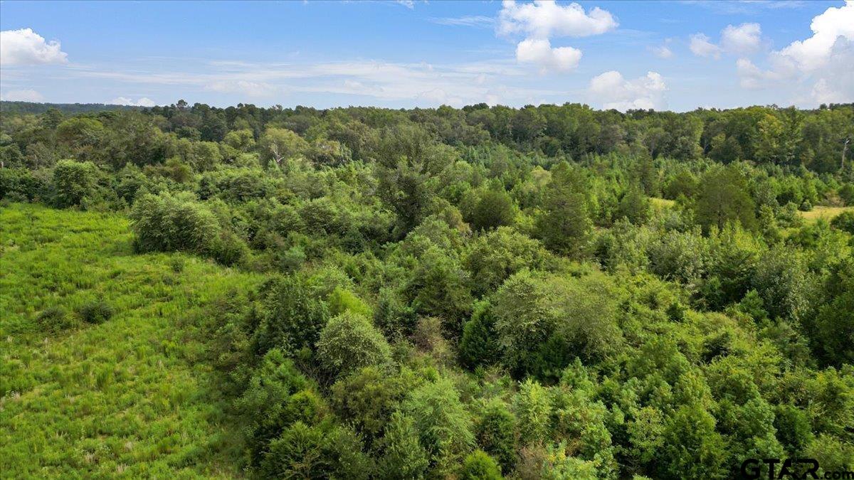 Tbd South Mimosa Road Gilmer, TX 75644 - Photo 7 of 13 a view of a city with lush green forest