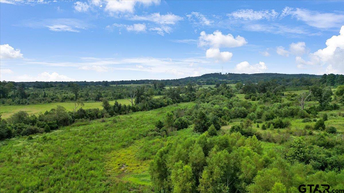 Tbd South Mimosa Road Gilmer, TX 75644 - Photo 8 of 13 a view of a city with lush green forest