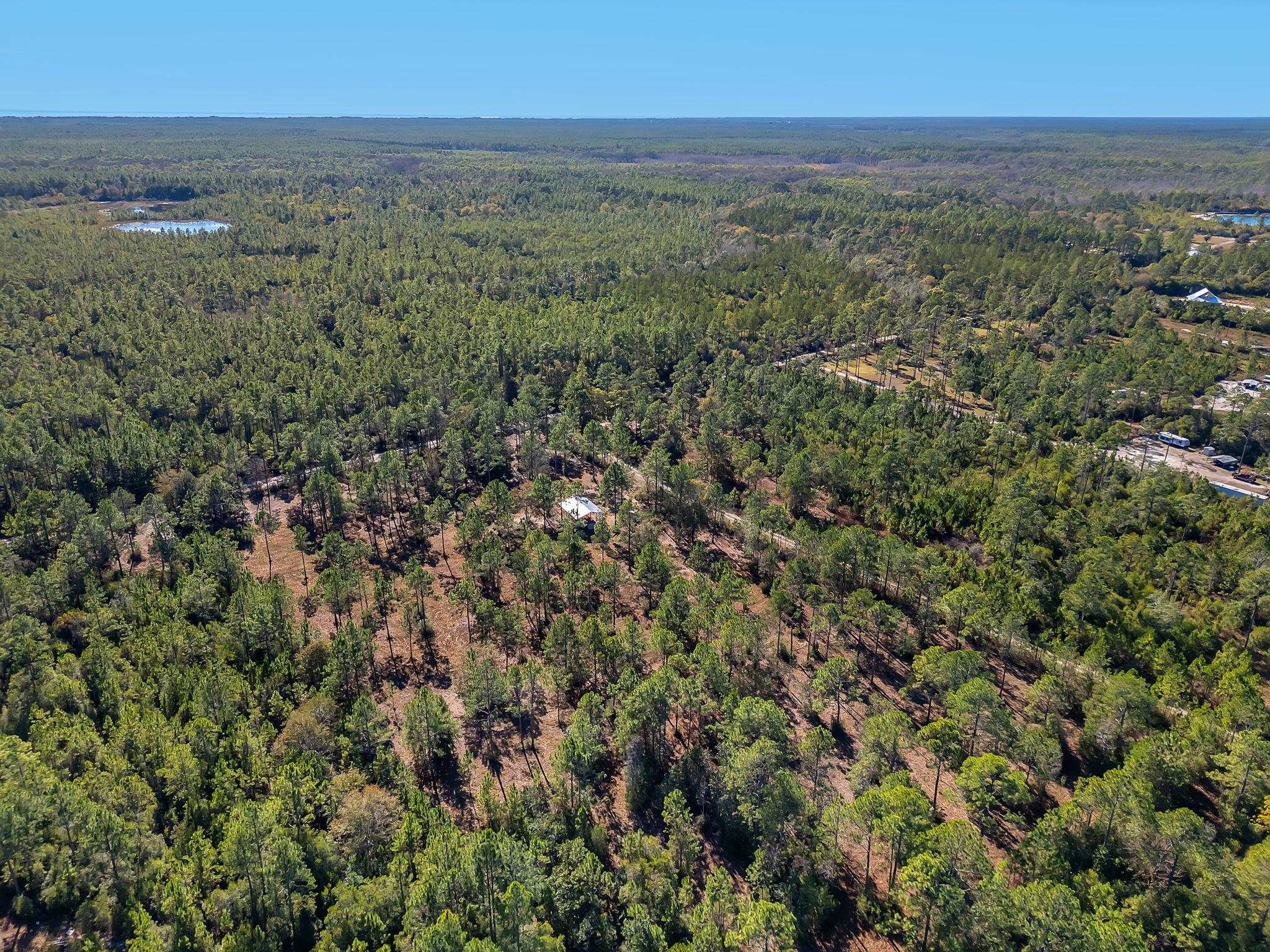 311 Clark's Landing Road Carrabelle, FL 32322 - Photo 11 of 16