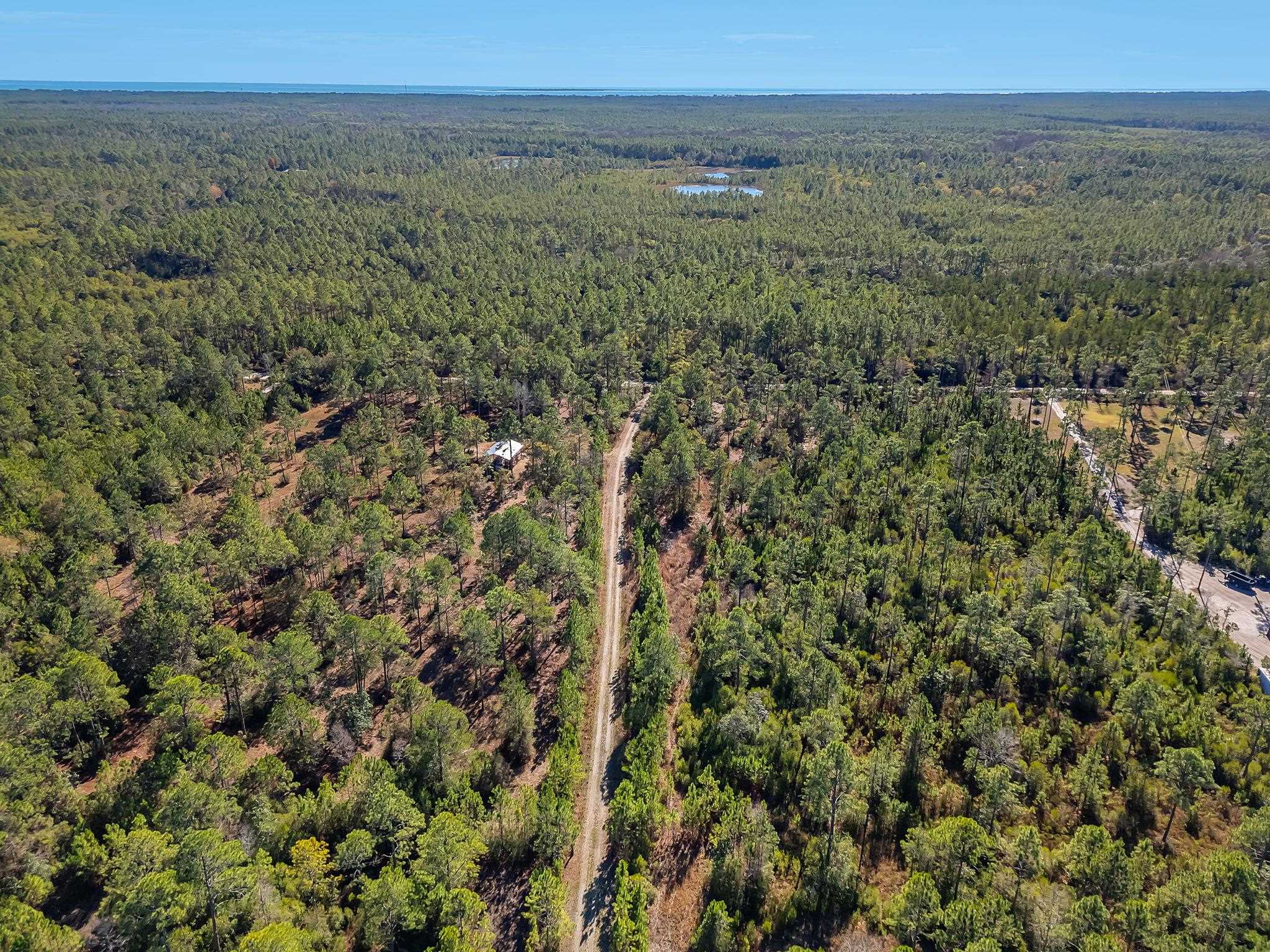 311 Clark's Landing Road Carrabelle, FL 32322 - Photo 12 of 16