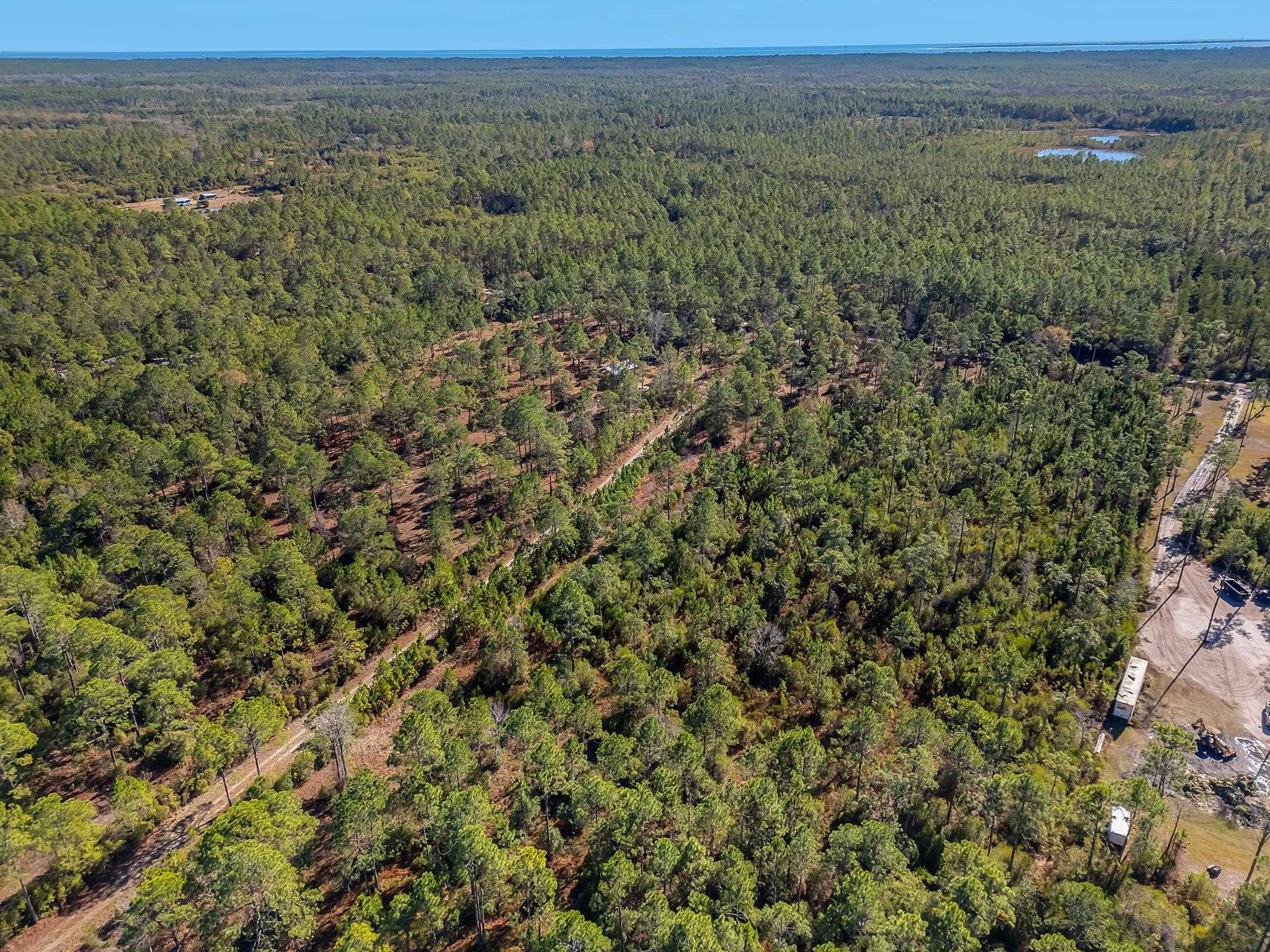 311 Clark's Landing Road Carrabelle, FL 32322 - Photo 13 of 16