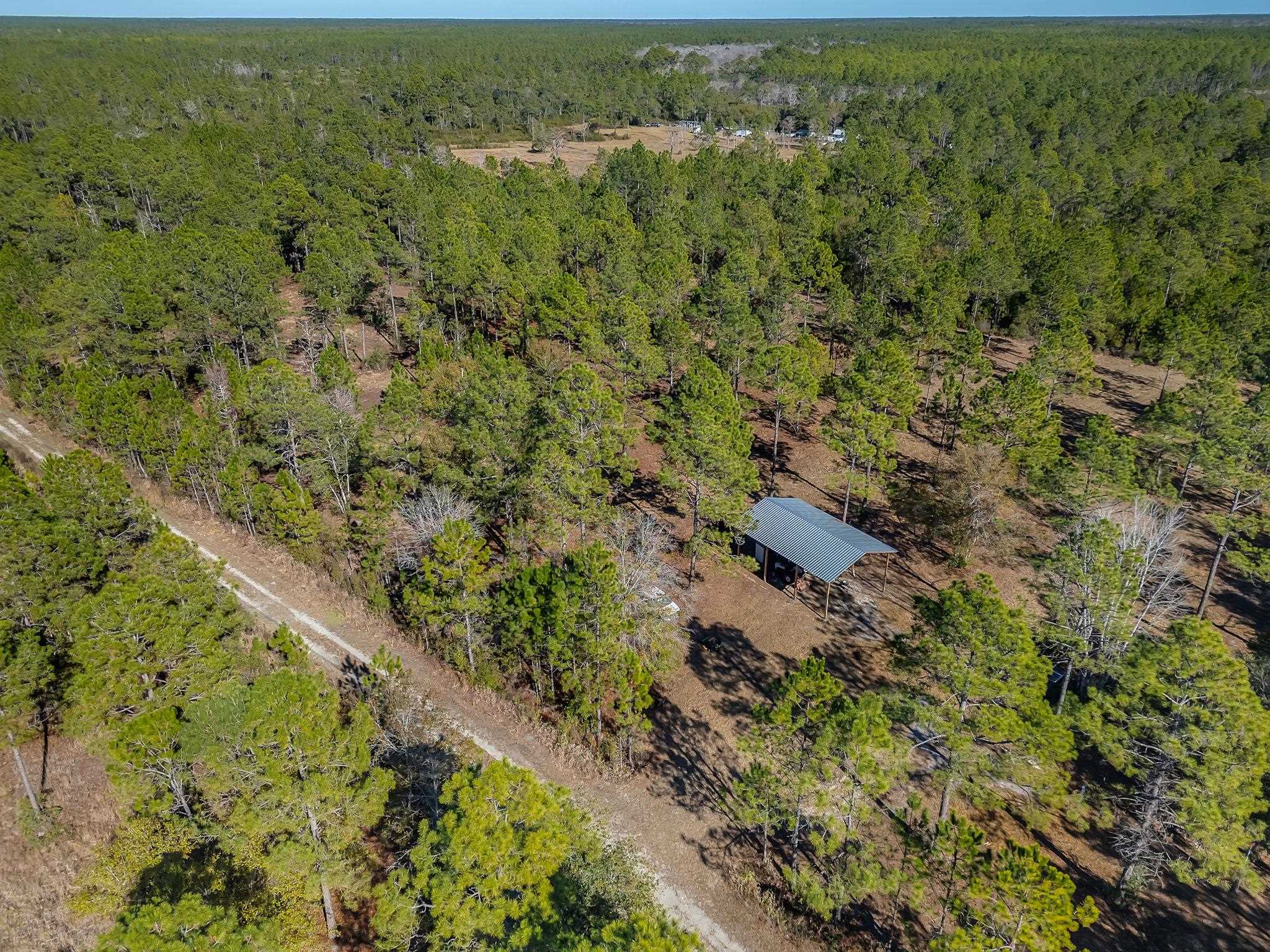 311 Clark's Landing Road Carrabelle, FL 32322 - Photo 14 of 16