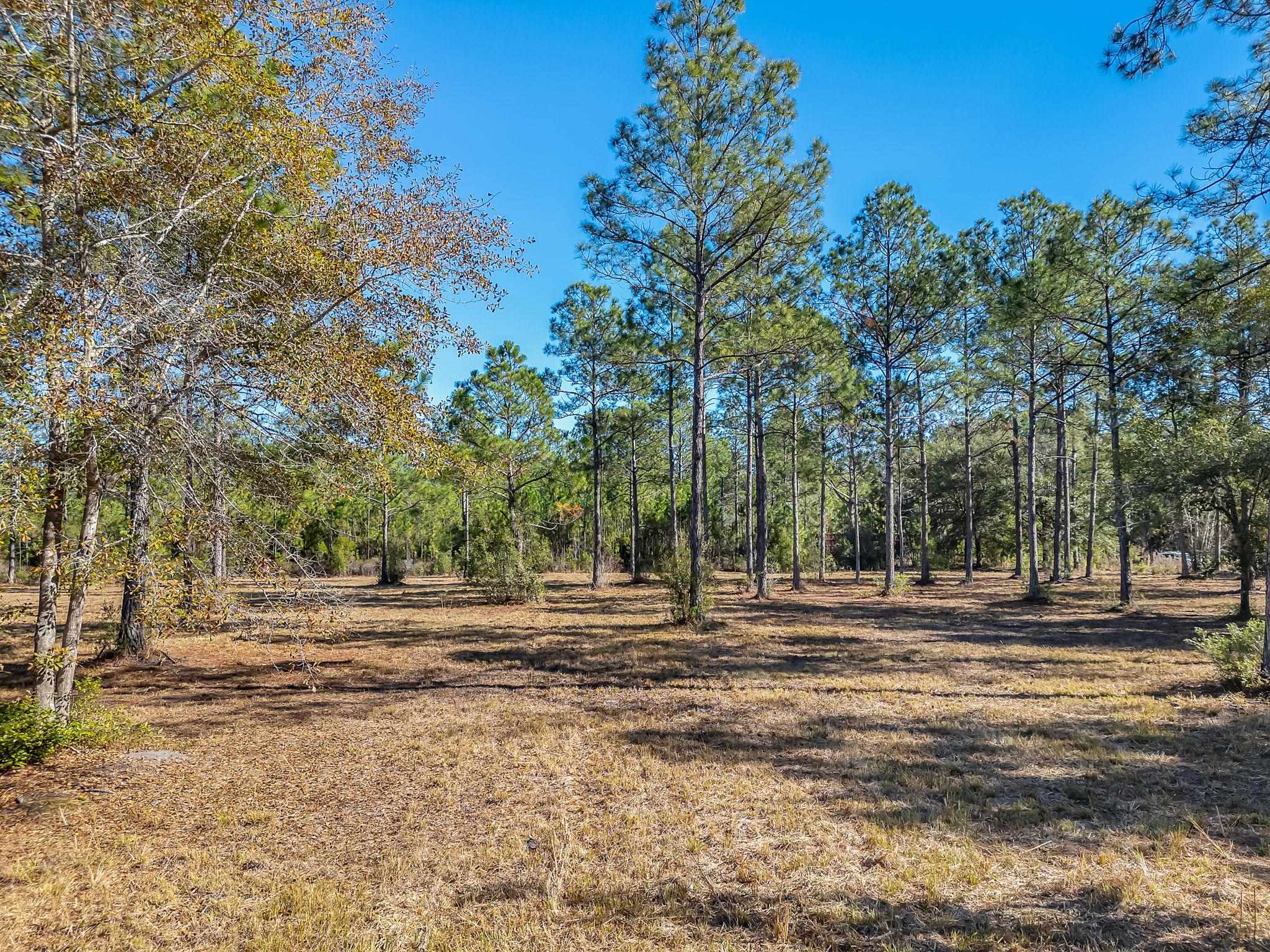 311 Clark's Landing Road Carrabelle, FL 32322 - Photo 16 of 16