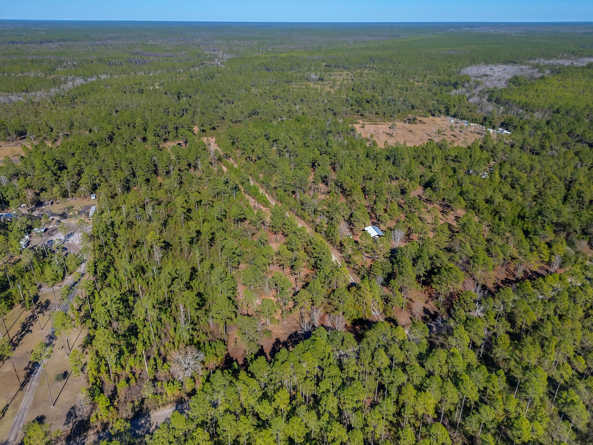 311 Clark's Landing Road Carrabelle, FL 32322 - Photo 9 of 16