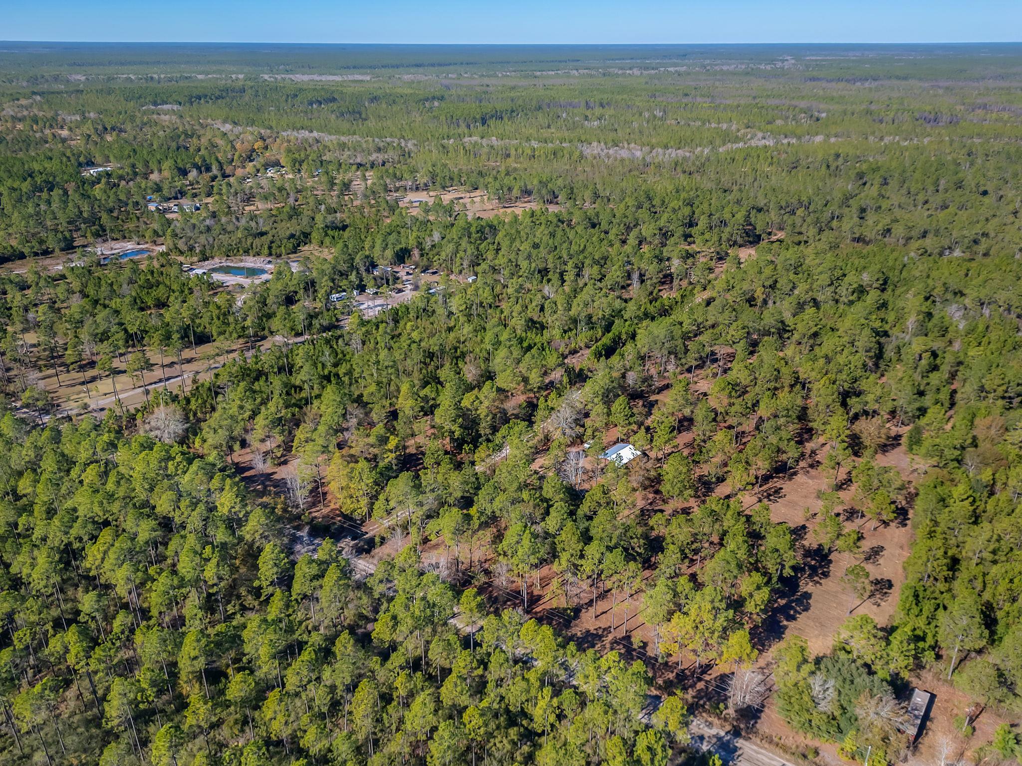 311 Clark's Landing Road Carrabelle, FL 32322 - Photo 10 of 16