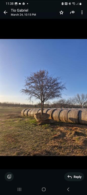 Some of the sizes of the trees