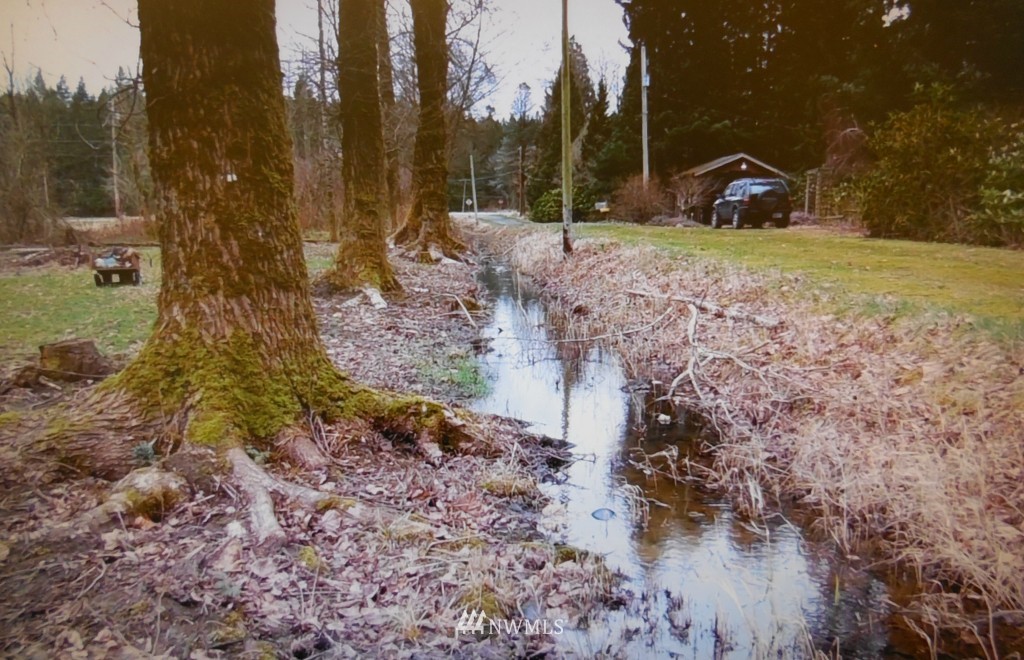 4366 Deming Road Everson, WA 98247 - Photo 13 of 13