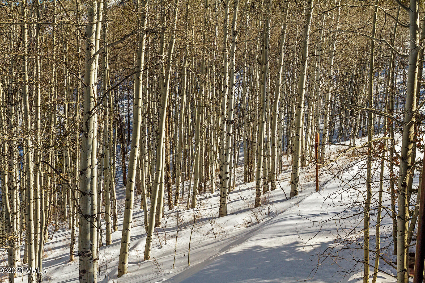 2291 Daybreak Ridge Road Avon, CO 81620 - Photo 22 of 56 a view of a city from a building