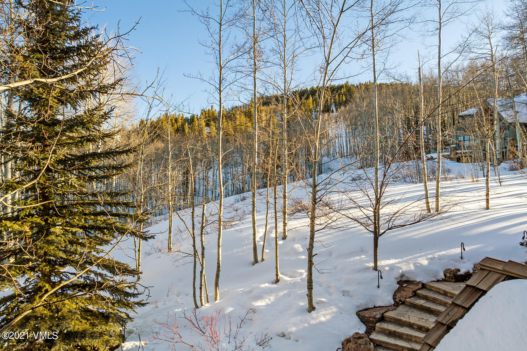 2291 Daybreak Ridge Road Avon, CO 81620 - Photo 25 of 56 a backyard of a house with lots of green space
