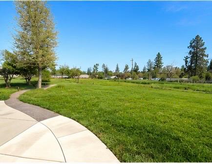 3696 Neal Road Paradise, CA 95969 - Photo 21 of 26 a backyard of a house with lots of green space