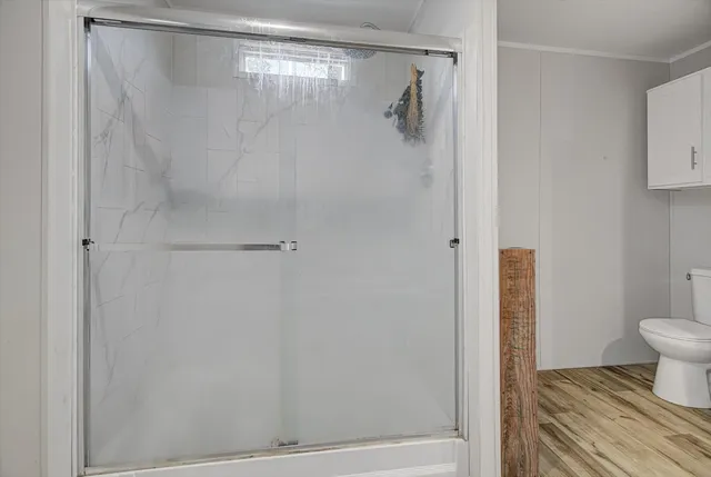 a bathroom with a shower and a toilet