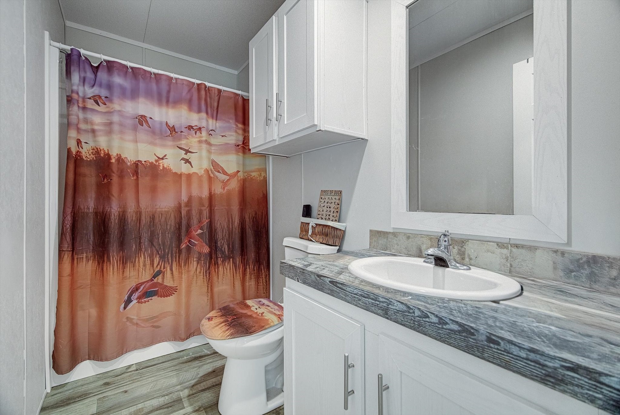 650 County Road 2219 Cleveland, TX 77327 - Photo 27 of 39 a bathroom with a granite countertop sink and a mirror