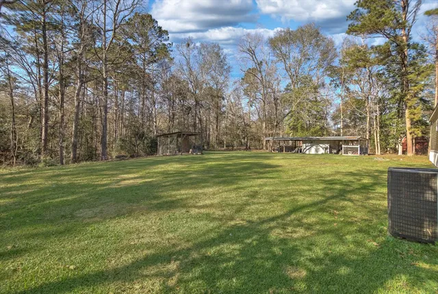 a view of a park with large trees