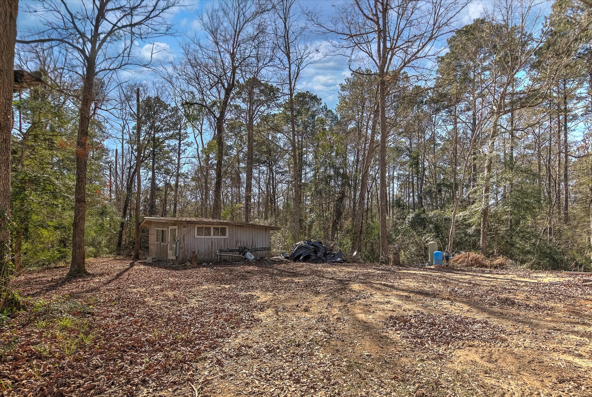 650 County Road 2219 Cleveland, TX 77327 - Photo 39 of 39 a view of outdoor space with trees