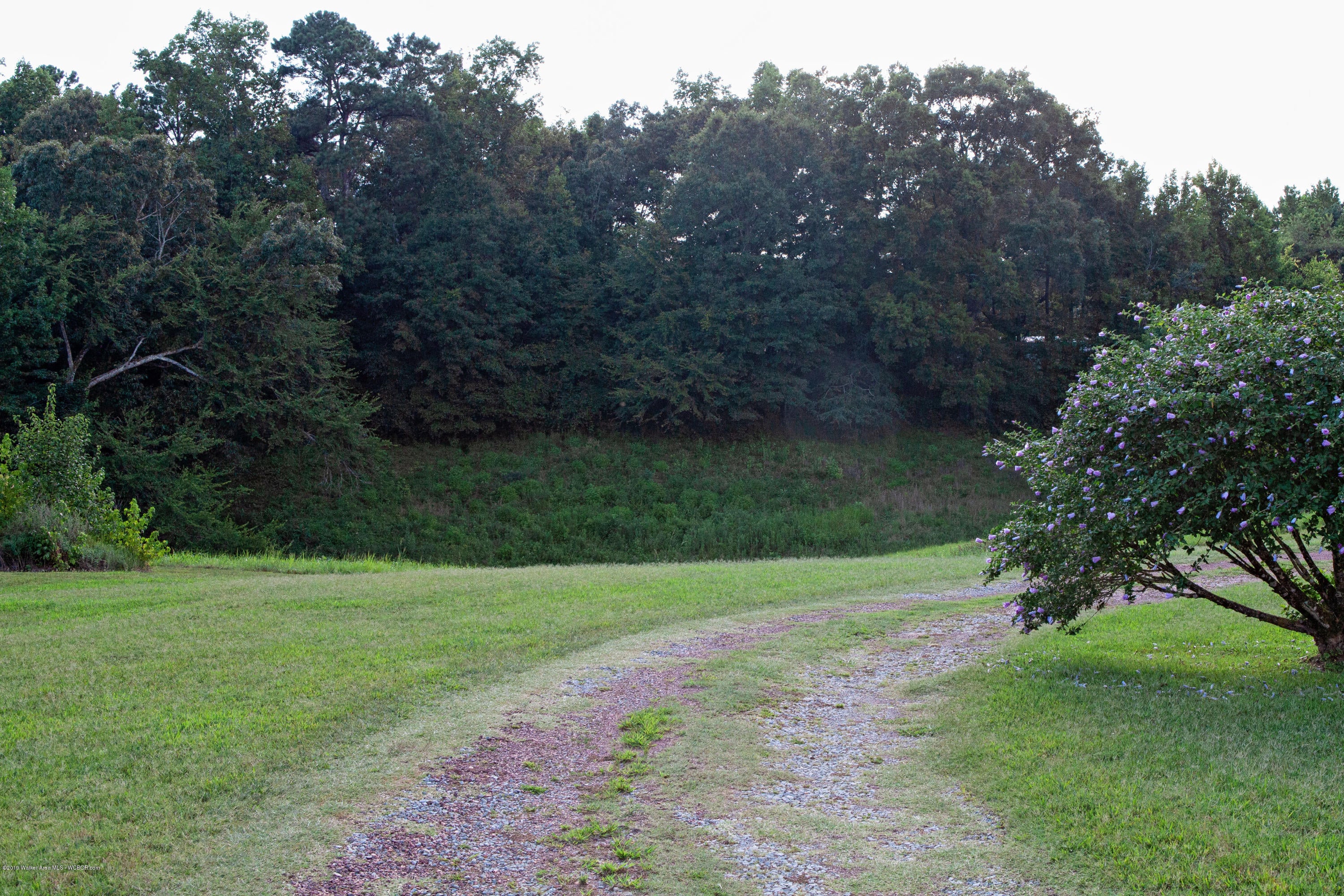 3002 Calumet Road Jasper, AL 35501 - Photo 7 of 26 Gallery Image 7