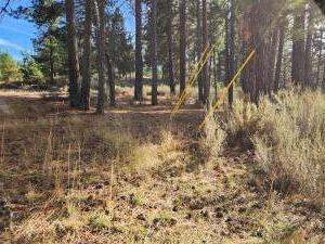 Pine Ridge Road Chiloquin, OR 97624 - Photo 2 of 7 20251110204103420344000000