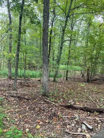 $41,900 | 164 Madison Cr, Fredericktown, MO 63645