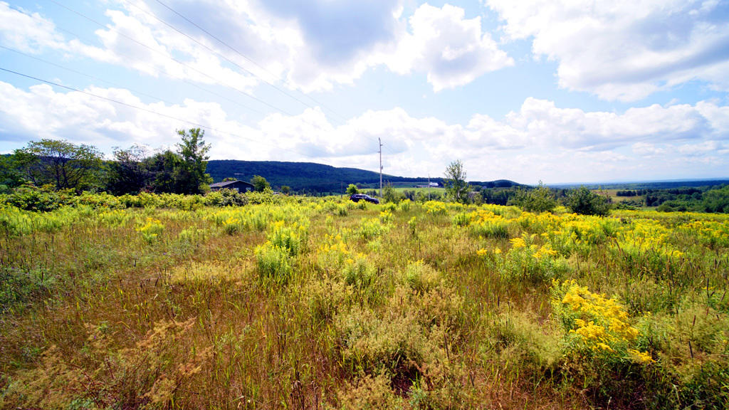 Lot 3 Dyer Brook Road Dyer Brook, ME 04747 - Photo 28 of 30 dyer-brook-land-strubbar-21