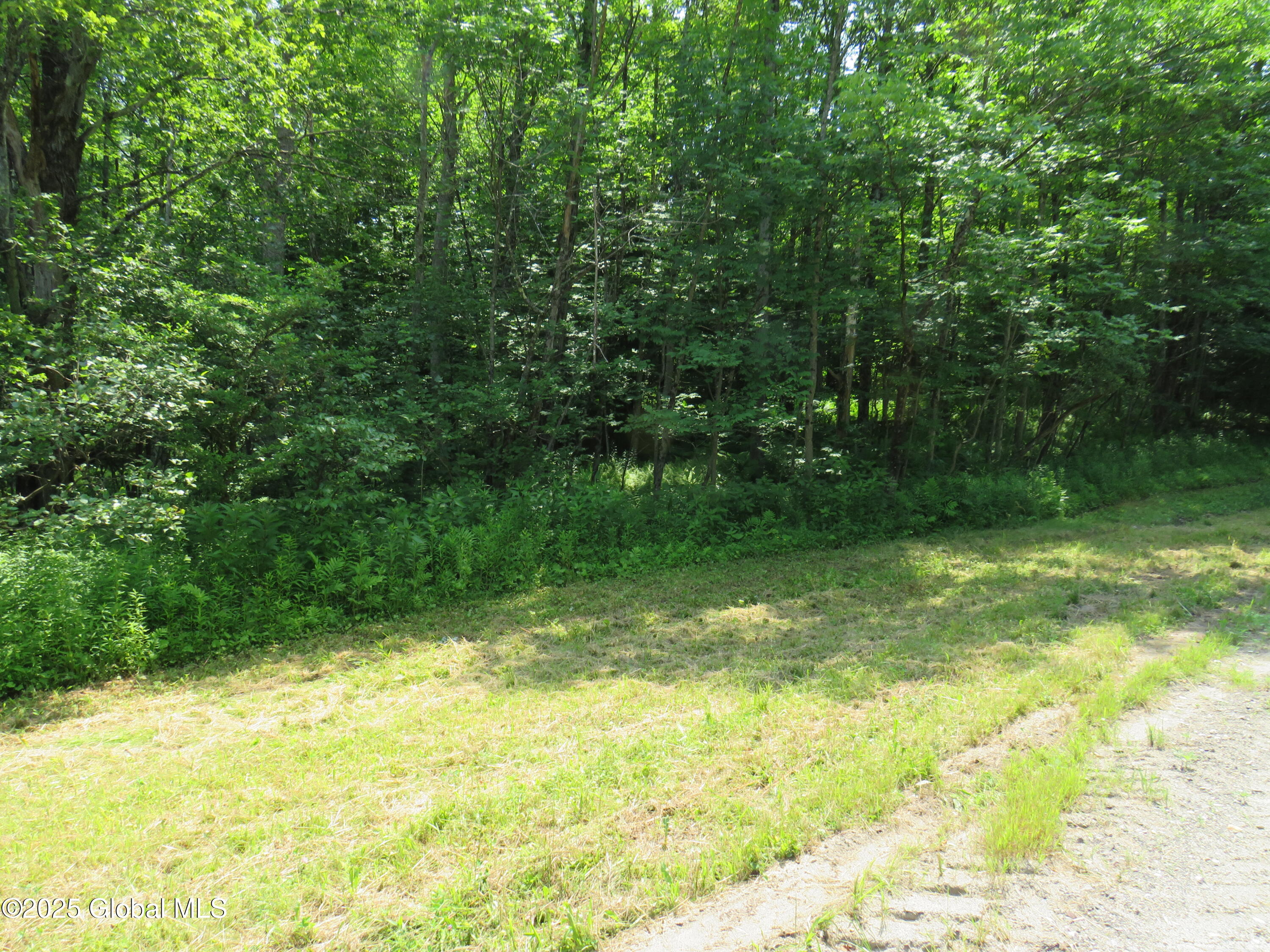 614 North Bush Road Johnstown, NY 12095 - Photo 20 of 26 IMG_8836