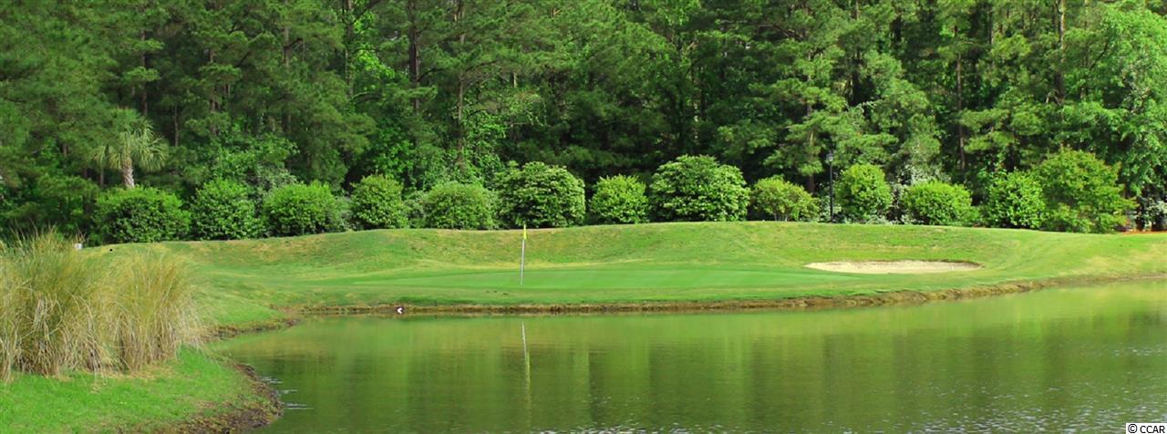 2001 Borgata Loop Longs, SC 29568 - Photo 24 of 33 Gallery Image 24