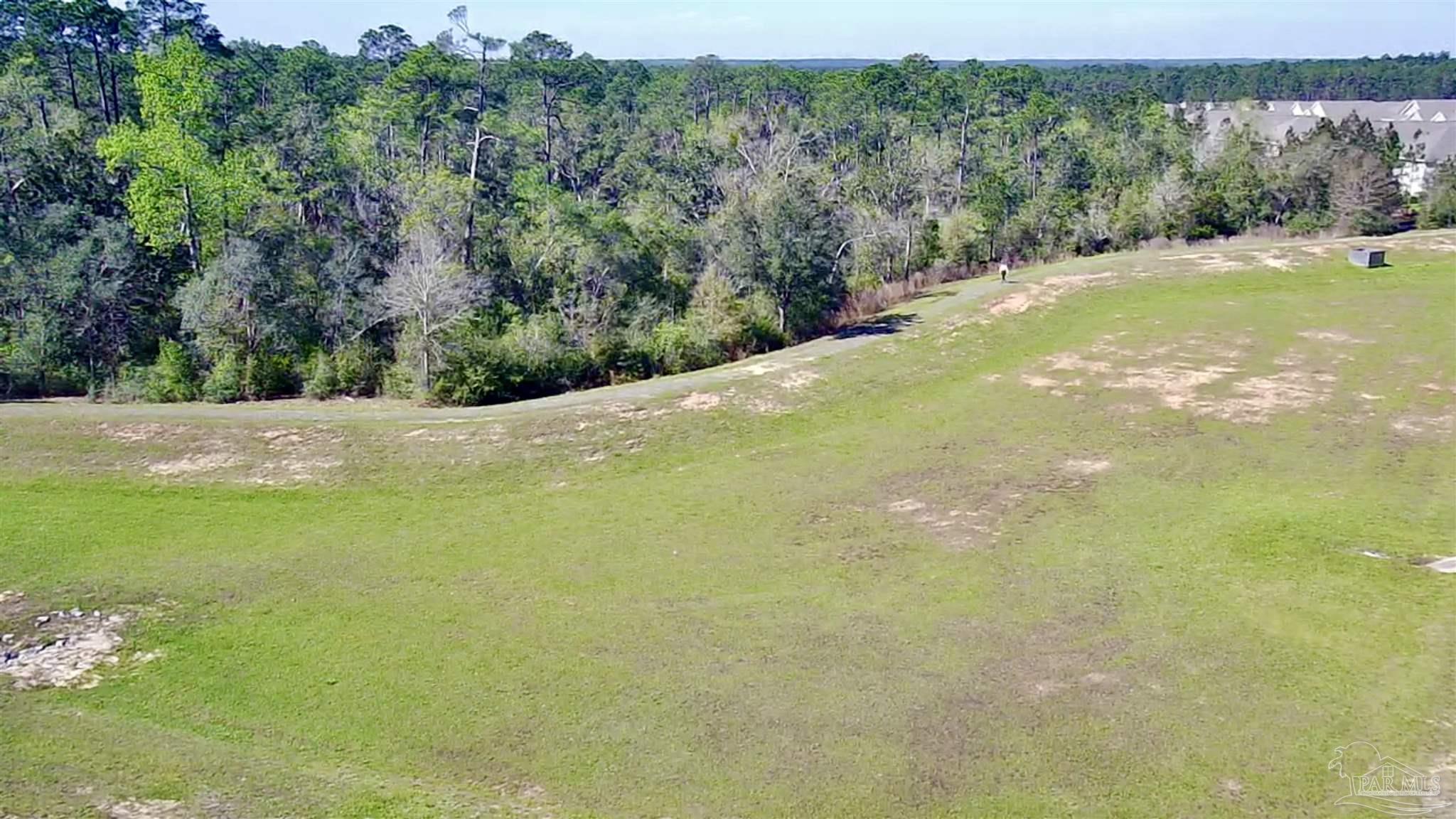 7787 Burnside Loop Pensacola, FL 32526 - Photo 30 of 32 a view of a yard with a tree