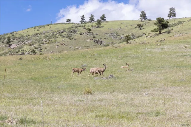 $795,000 | 3600 Blue Mountain Trail, Loveland, CO 80537