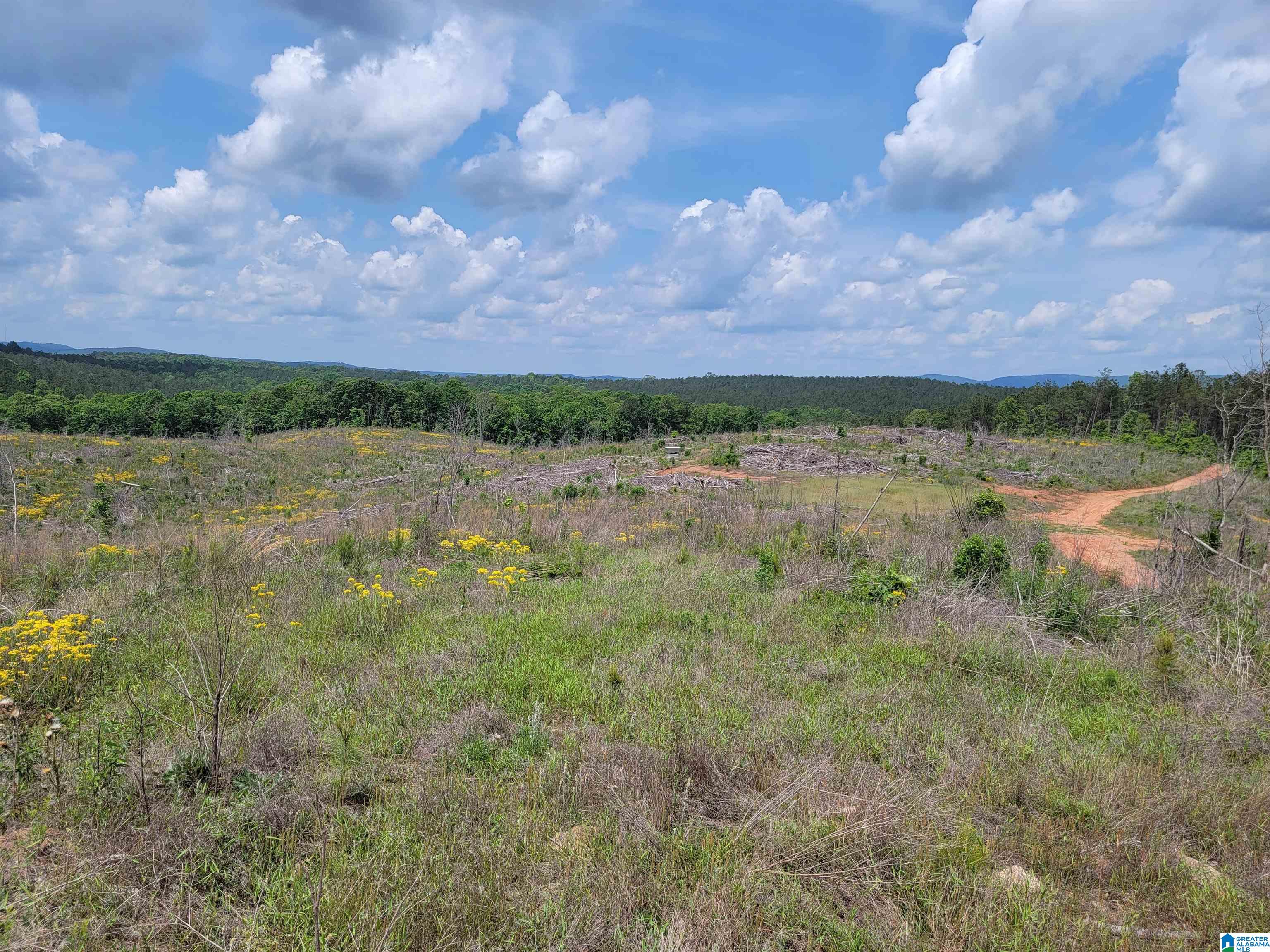 0 Chapman Road, Unit 152 Goodwater, AL 35072 - Photo 15 of 40