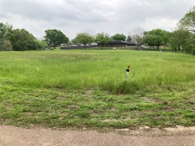 a view of a big yard with plants and large trees