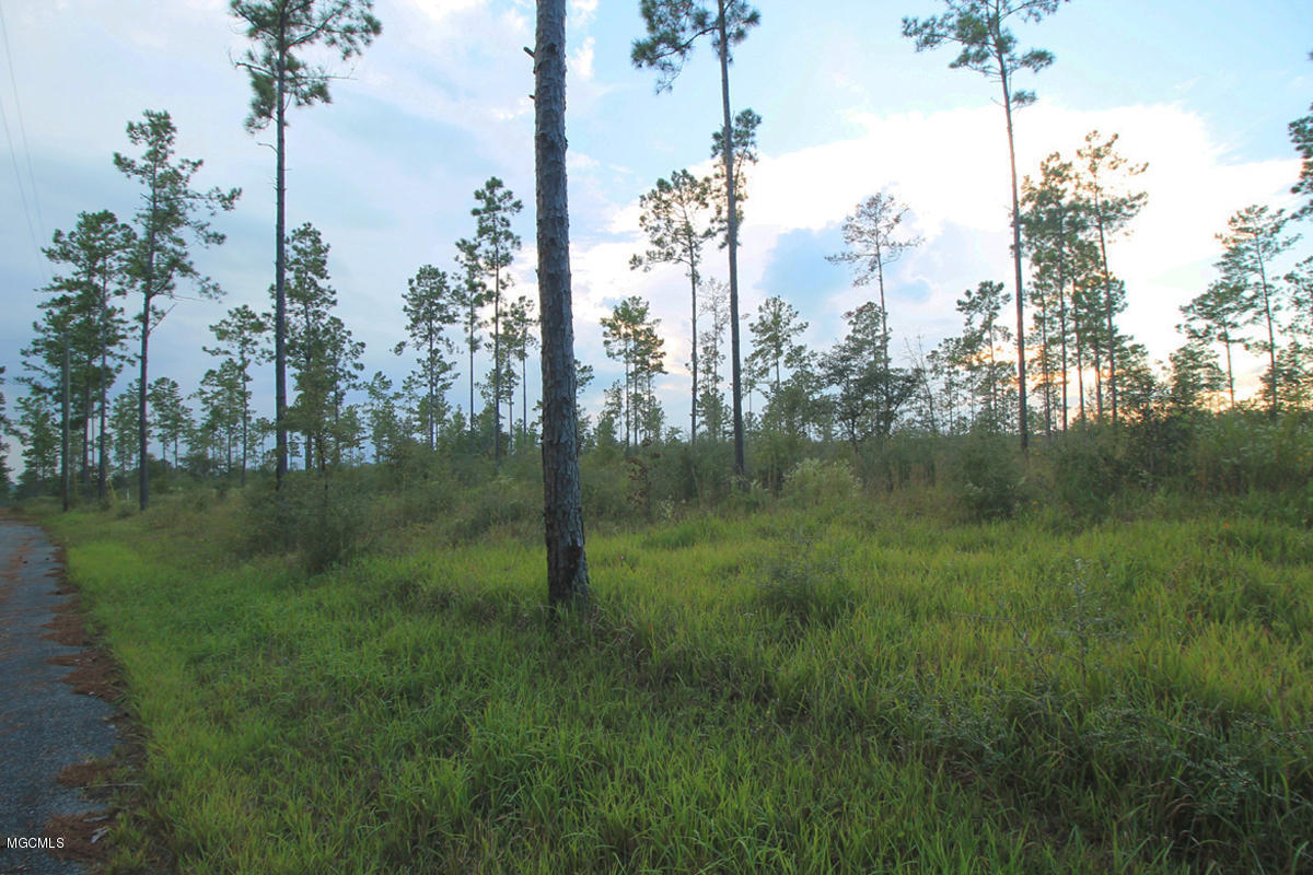 3.75-ac Homestead Road Lucedale, MS 39452 - Photo 11 of 12 4 (1)