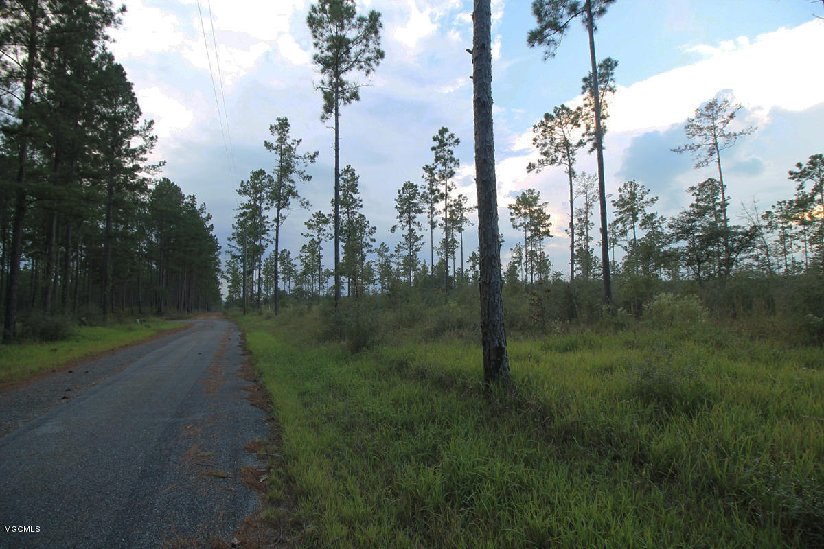 3.75-ac Homestead Road Lucedale, MS 39452 - Photo 12 of 12 4