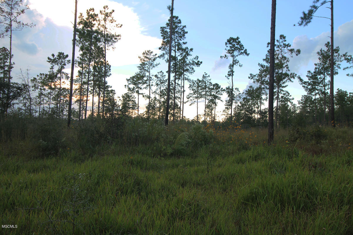 3.75-ac Homestead Road Lucedale, MS 39452 - Photo 3 of 12 Additional Photo