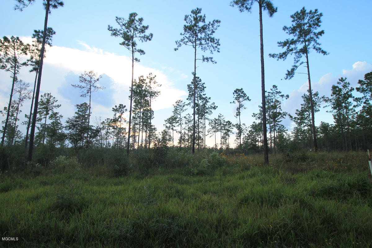 3.75-ac Homestead Road Lucedale, MS 39452 - Photo 6 of 12 2 (2)