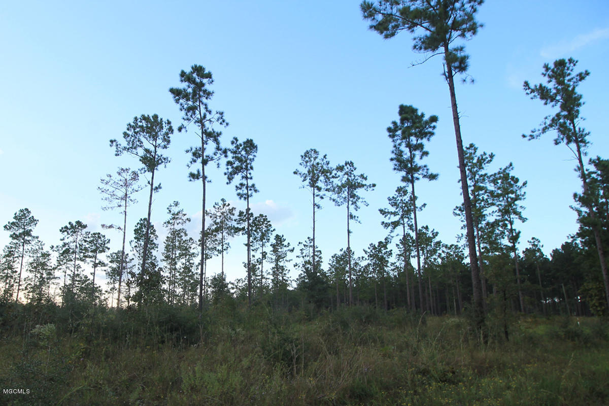 3.75-ac Homestead Road Lucedale, MS 39452 - Photo 9 of 12 3 (2)