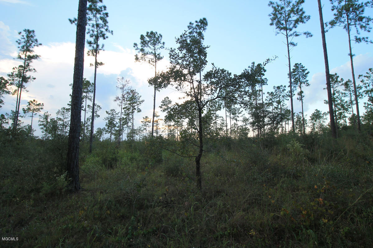 3.75-ac Homestead Road Lucedale, MS 39452 - Photo 10 of 12 3 (3)