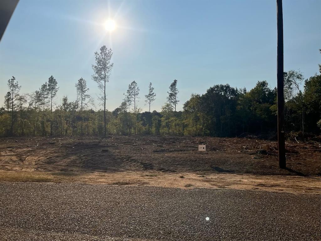 4 Lake Road Plain Dealing, LA 71064 - Photo 1 of 5 View of yard