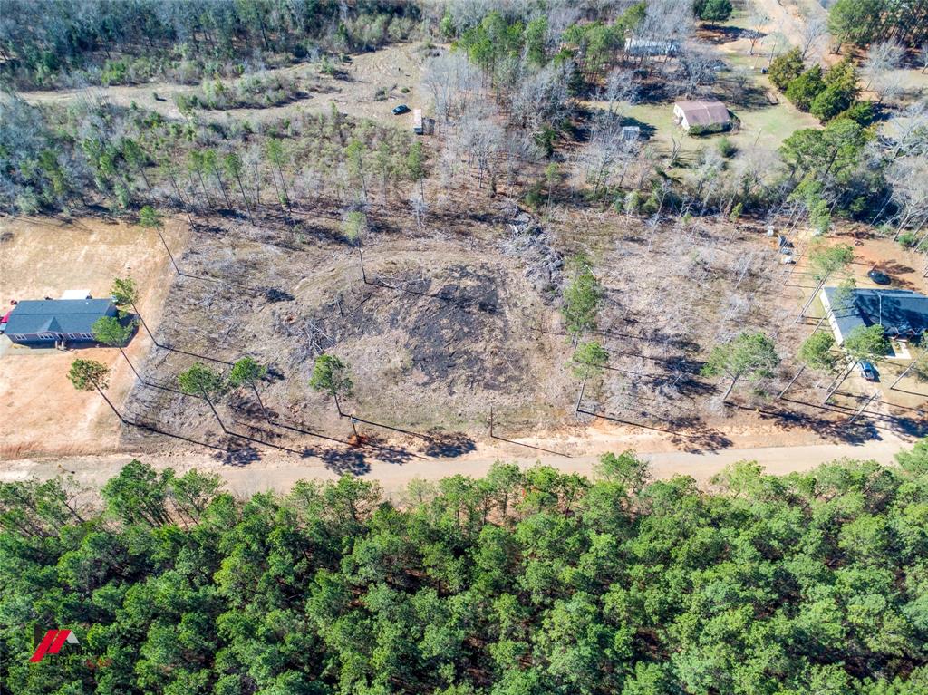 4 Lake Road Plain Dealing, LA 71064 - Photo 5 of 11 a view of a yard with plants and large trees
