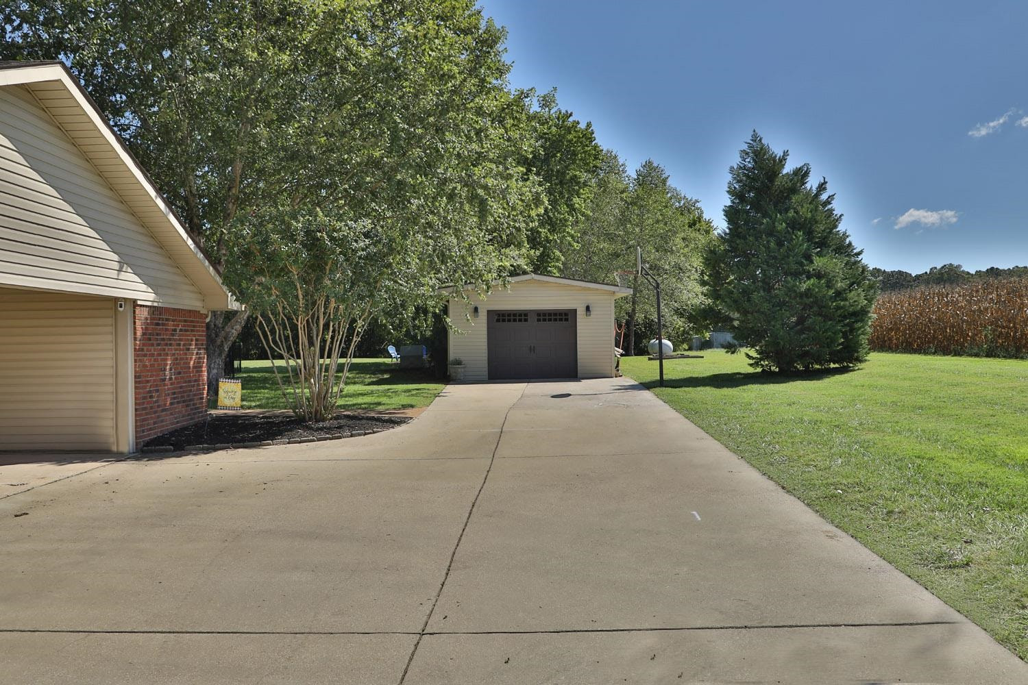 529 Vancleave Road Martin, TN 38237 - Photo 17 of 20 a view of a house with backyard and trees
