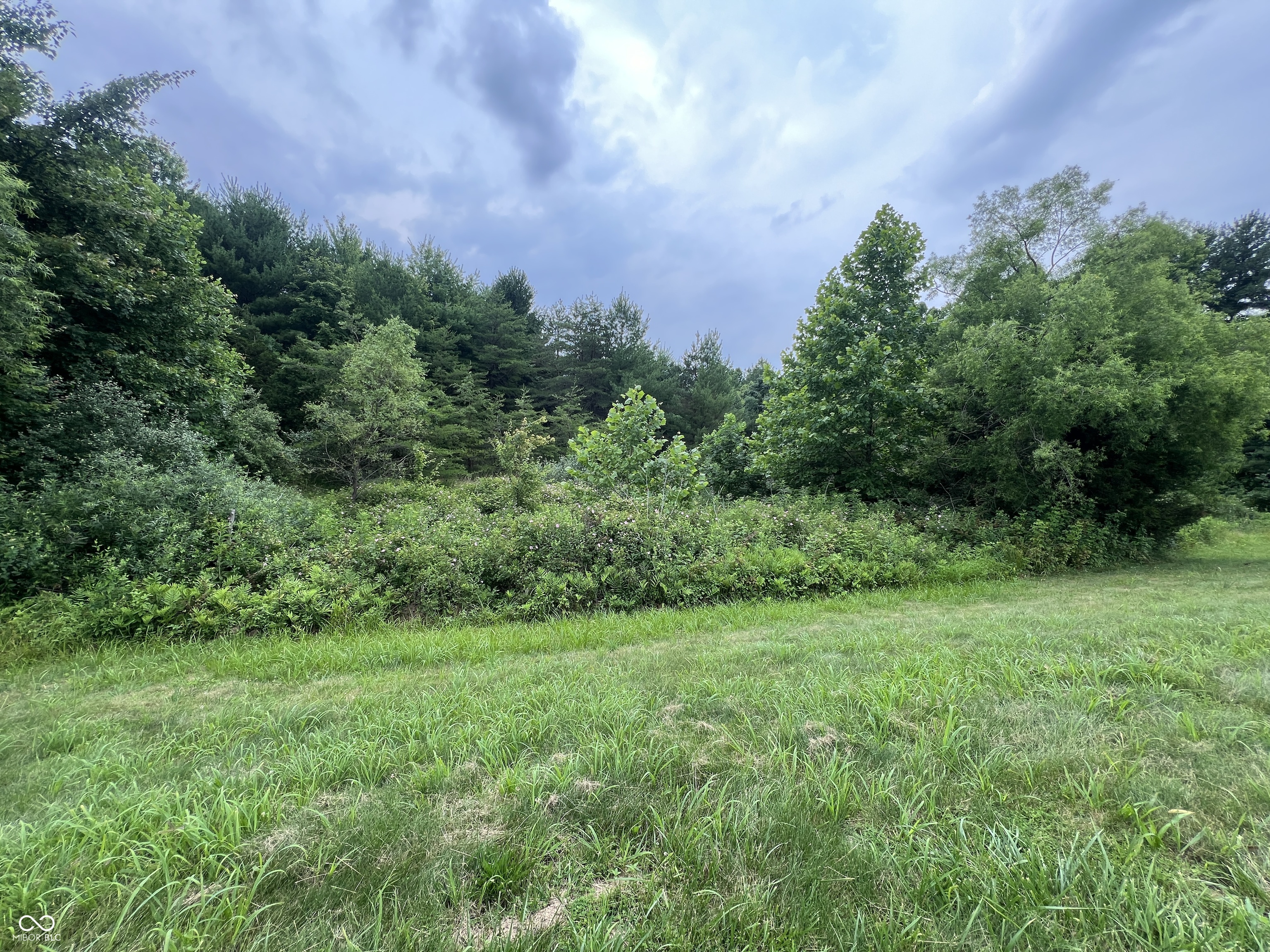 7385 South Becks Grove Road Freetown, IN 47235 - Photo 24 of 76 Gallery Image 24