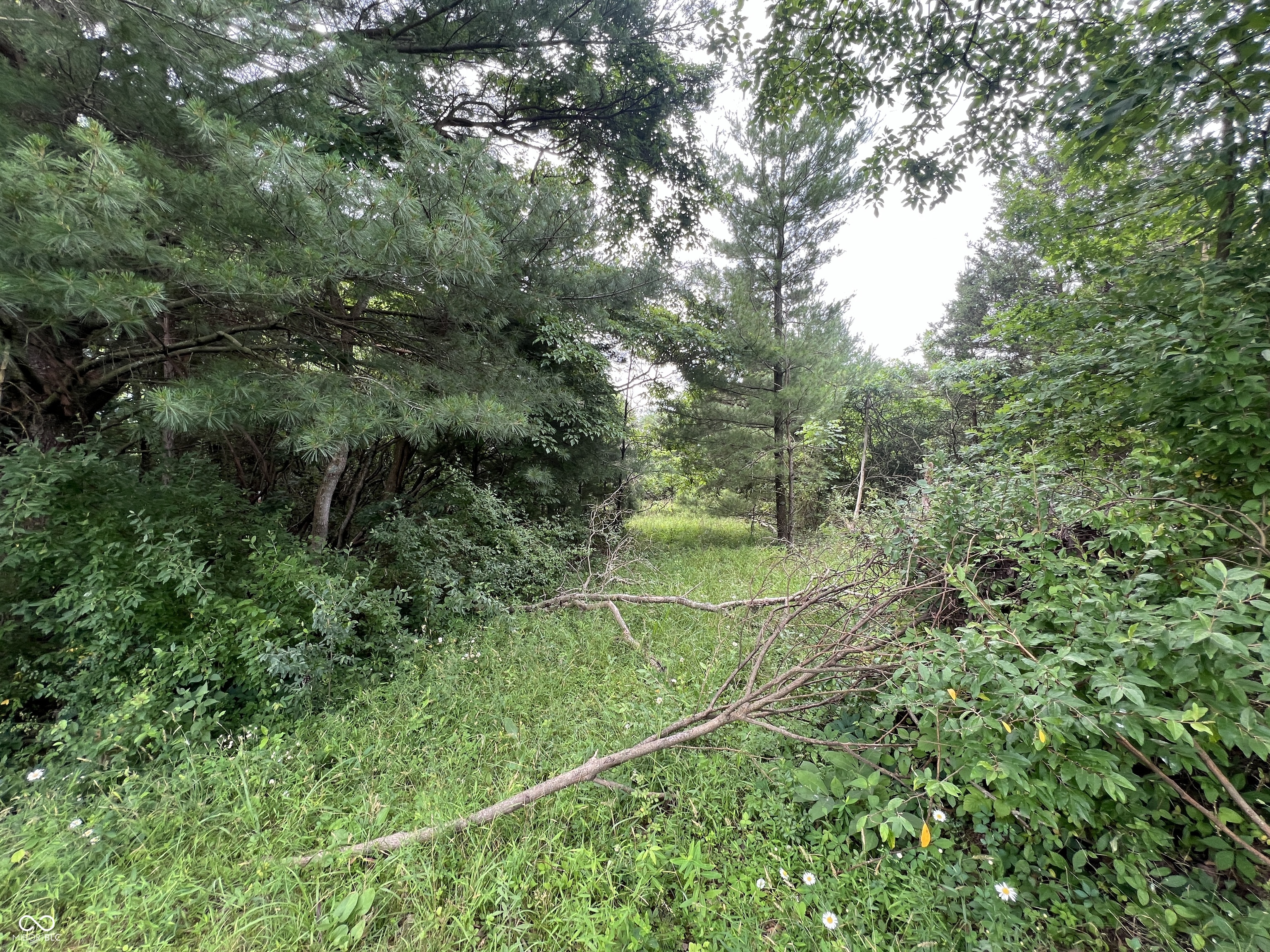 7385 South Becks Grove Road Freetown, IN 47235 - Photo 28 of 76 Gallery Image 28