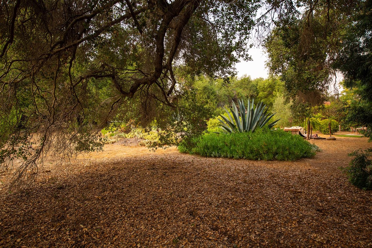 515 Del Norte Road Ojai, CA 93023 - Photo 23 of 43 Gallery Image 23