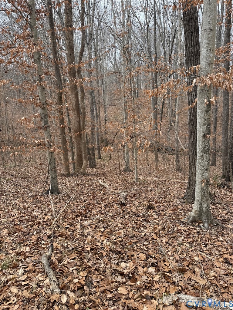 a view of a pathway with a yard
