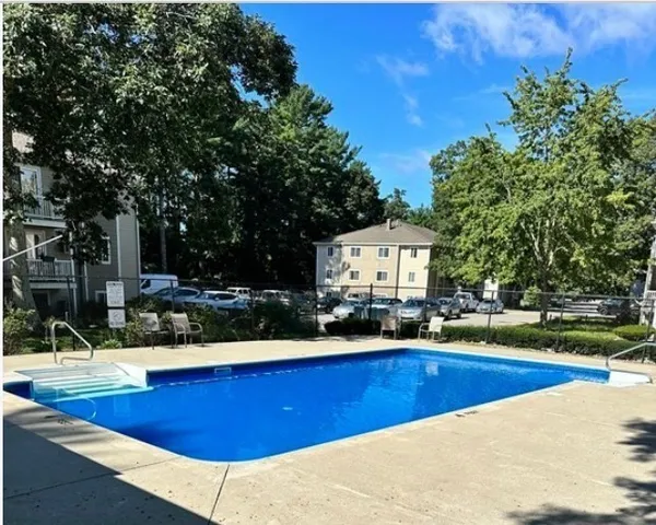 a view of a swimming pool with a bench and trees