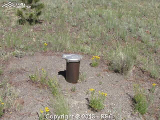 1360 Julia Road Guffey, CO 80820 - Photo 2 of 18