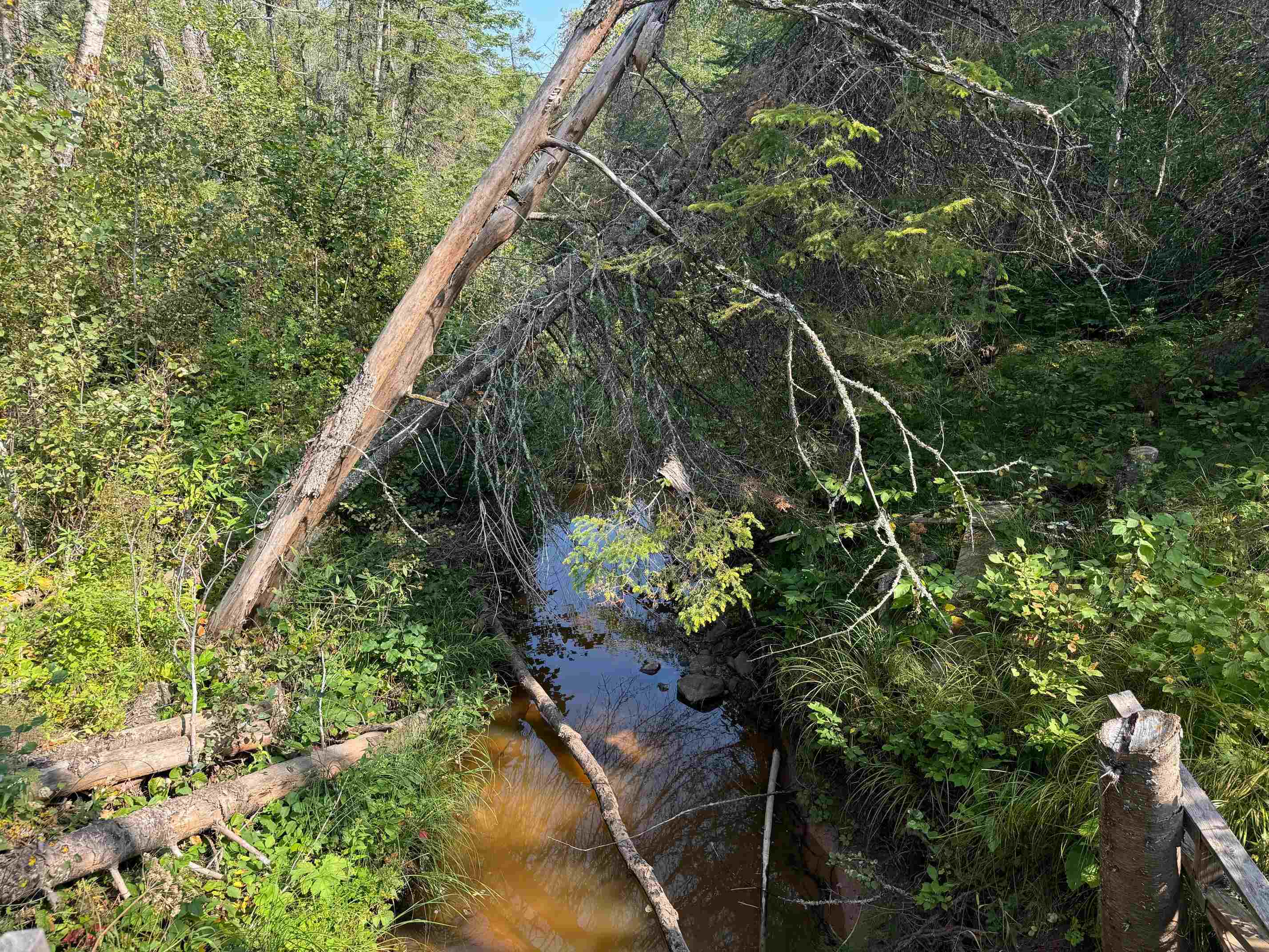 3897 Highway 23 Holyoke, MN 55749 - Photo 3 of 48