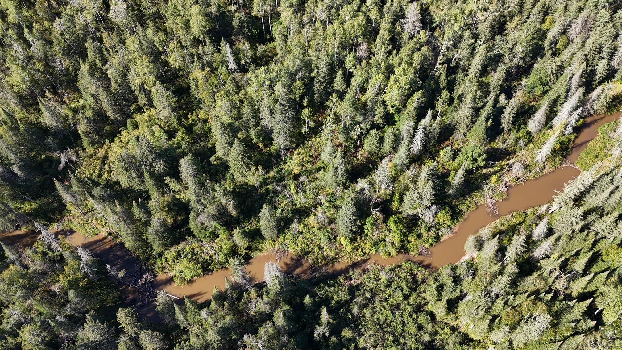 3897 Highway 23 Holyoke, MN 55749 - Photo 46 of 48