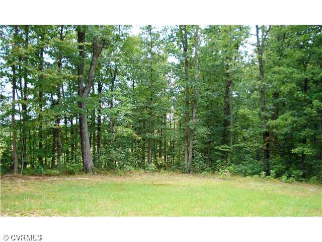 7691 South Genito Road Jetersville, VA 23083 - Photo 11 of 12 Gallery Image 11